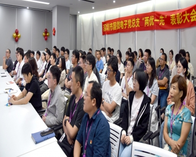 同“芯”向黨，榜樣領航——國微電子黨總支“兩優一先”表彰大會